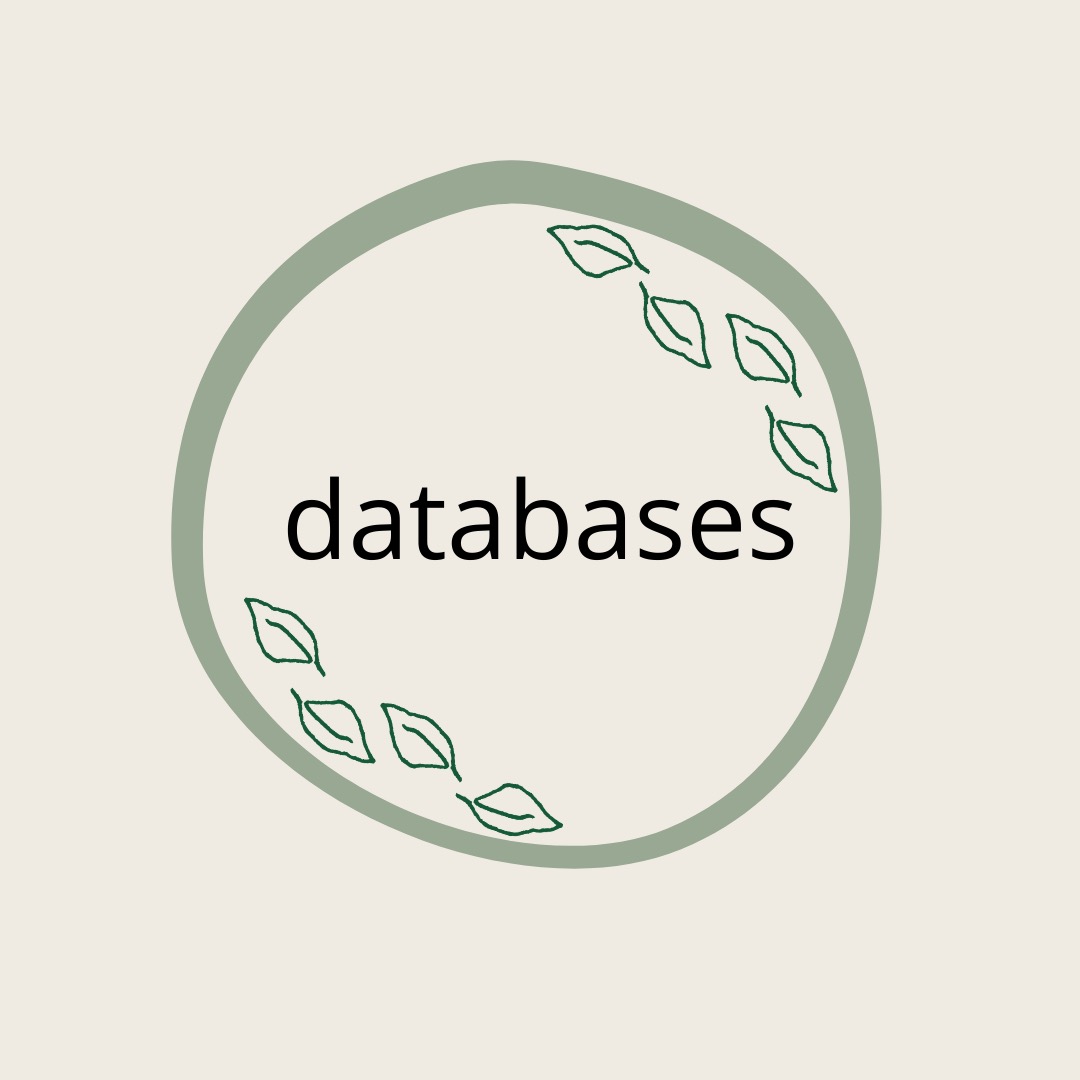 databases image